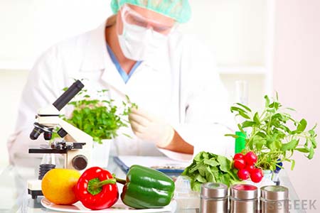 B.Sc Food Sciences